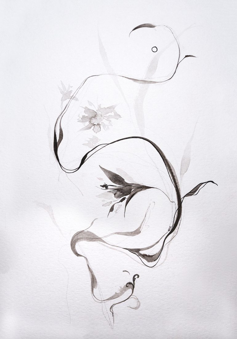 «Abstracción floral», línea continua en tinta china con motivos florales, de Mai Solsona